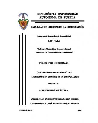 Benemérita Universidad Autonoma De Puebla Tesis