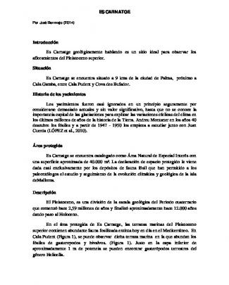 Documentos - Mallorca Verde