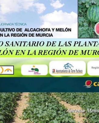 Estado Sanitario De Las Plantaciones En La Región De Murcia